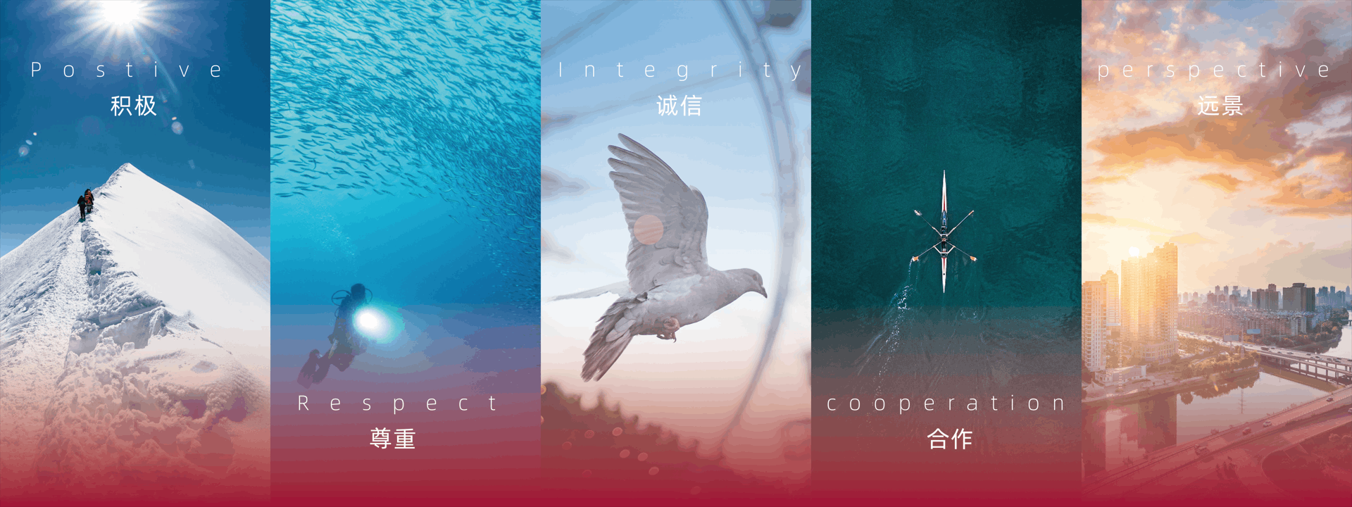 積極，尊重，誠信，合作，遠景