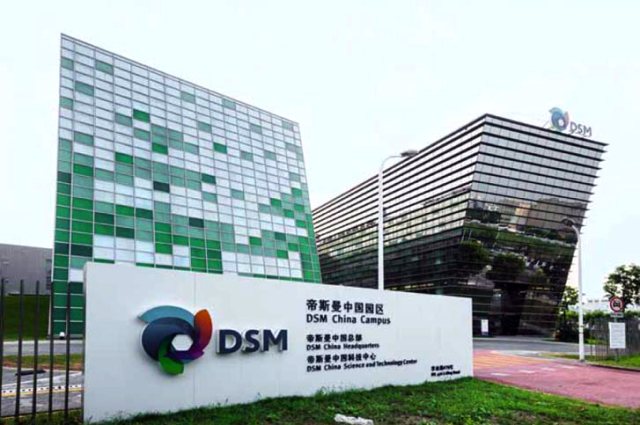 W . 帝斯曼工程塑料